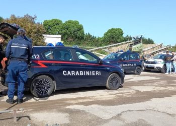 Alto Mantovano, nuovo Action-Day per la sicurezza ambientale