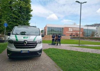 Mantova, la polizia locale sgomina le gang dedite alle risse in città