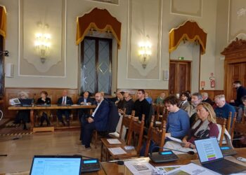 MILLE ETTARI DI NUOVE AREE BOSCHIVE in provincia di Mantova