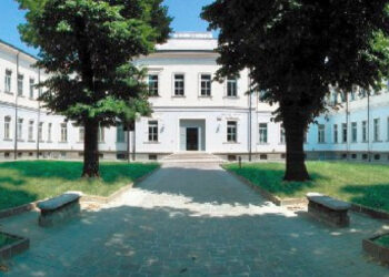 Viadana: ecco tutti gli eventi di gennaio in programma al MuVi