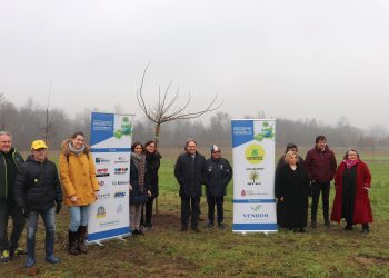 A Castiglione maxi piantumazione: 18 alberi e 150 cespugli