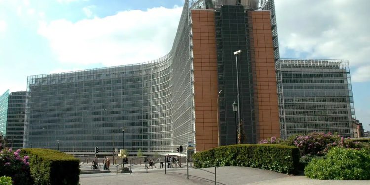 Polvere di grillo, il via libera Ue e la polemica tutta italiana