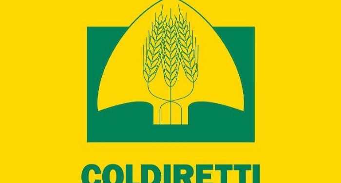 Manovra, Coldiretti Mantova: 2 miliardi per l’agricoltura