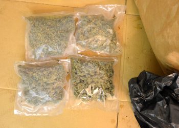 I carabinieri vanno per un tentato furto e scoprono coltivazione di marijuana