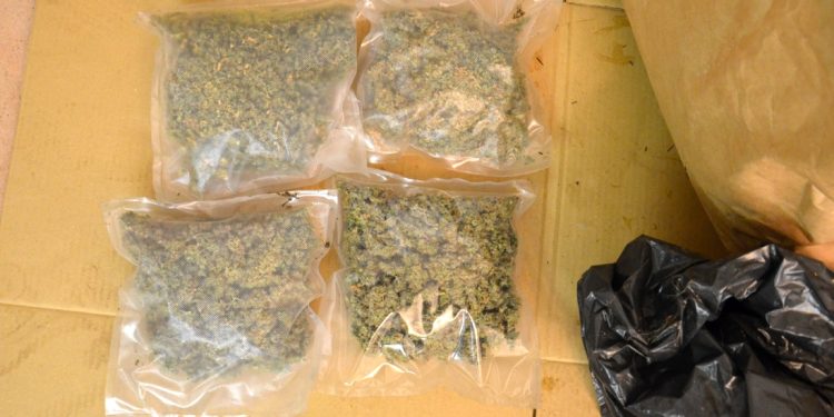 I carabinieri vanno per un tentato furto e scoprono coltivazione di marijuana