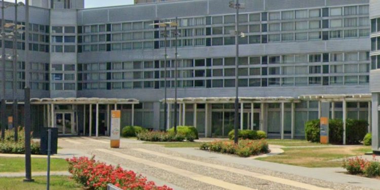 Compravendite terreni, Coldiretti Mantova: sale il costo della terra