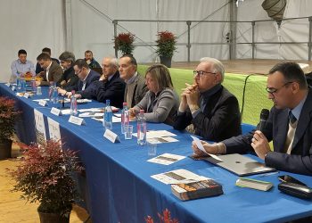 Alto Mantovano super entropizzato: “Acqua da tenere sempre sotto controllo”