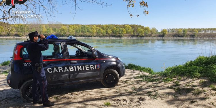 Scarico abusivo nel canale: per l’azienda denuncia e maxi sanzione