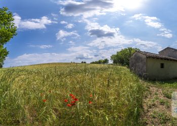 Associazione Colline Moreniche cerca operatori per servizi di marketing territoriale