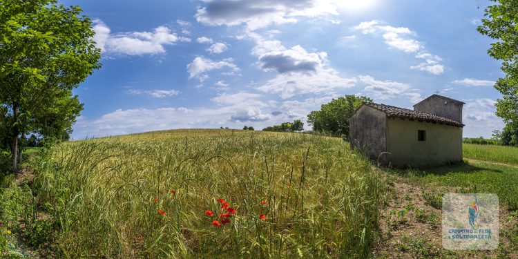 Associazione Colline Moreniche cerca operatori per servizi di marketing territoriale