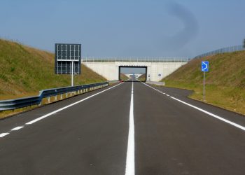 Rifiuti lungo la tangenziale di Guidizzolo: scatta la pulizia con i volontari