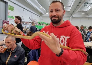 Quasi 7mila visitatori: successo per Esotika Pet Show e Mondo Bonsai