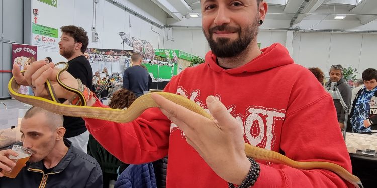 Quasi 7mila visitatori: successo per Esotika Pet Show e Mondo Bonsai