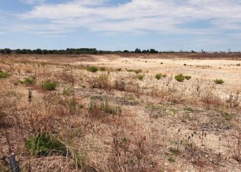 Siccità, Salvini annuncia oltre 100 milioni per interventi in 5 Regioni