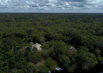 Il Brasile annuncia: “La deforestazione in Amazzonia si è ridotta di un terzo a luglio”