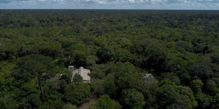 Il Brasile annuncia: “La deforestazione in Amazzonia si è ridotta di un terzo a luglio”
