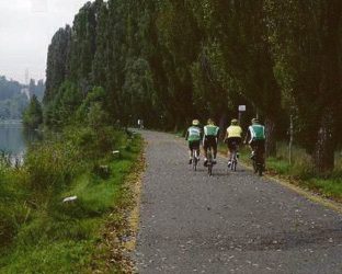 Rimozione di alberature pericolanti, interrotta la ciclovia Mantova-Peschiera