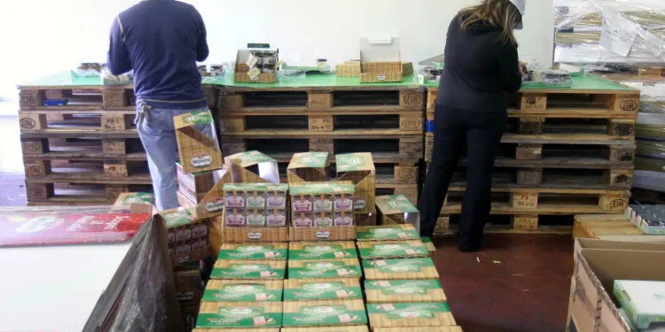 Europarlamento mercoledì al voto su regolamento imballaggi. Pressing da industrie