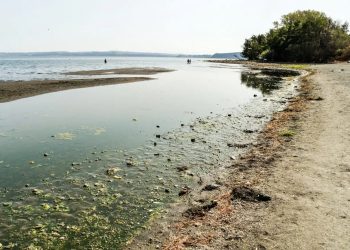 Allarme Unicef in vista della COP28: Un bimbo su tre è esposto alla scarsità di acqua