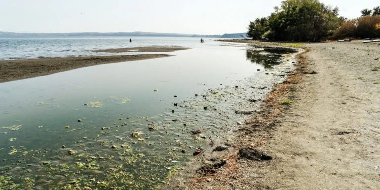 Allarme Unicef in vista della COP28: Un bimbo su tre è esposto alla scarsità di acqua