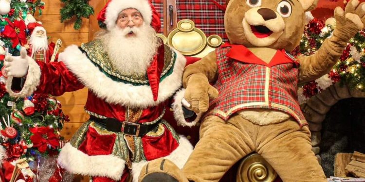 Castiglione delle Stiviere oggi in piazza l’evento Magico Natale
