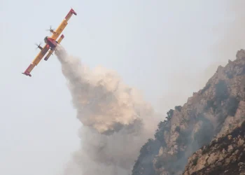 L’annus horribilis degli incendi boschivi: 250 morti e 400 milioni di ettari in fumo