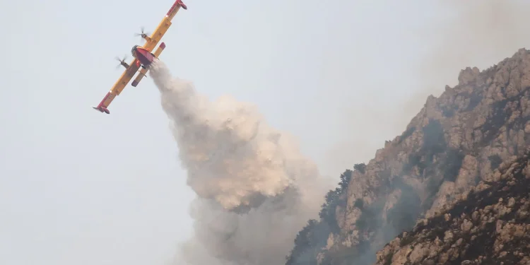 L’annus horribilis degli incendi boschivi: 250 morti e 400 milioni di ettari in fumo