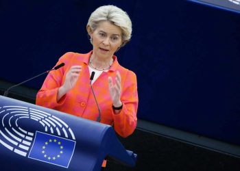 Sussidi pubblici e ritiro pesticidi, von der Leyen risponde alle proteste agricoltori