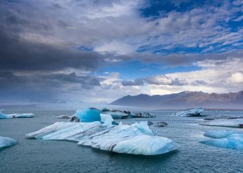Addio ai ghiacci, la Groenlandia è sempre più verde (e non è un bene)