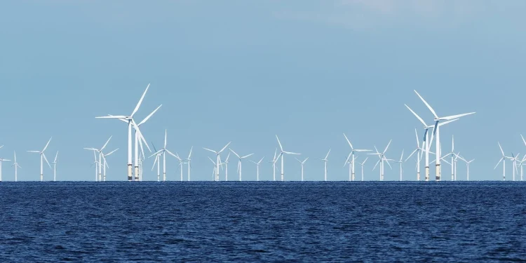 Rinnovabili, sull’eolico offshore galleggiante l’Italia può essere il terzo mercato al mondo