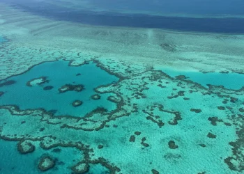 Nuovo record: febbraio 2024 il più caldo mai registrato nel mondo. Oceani bollenti