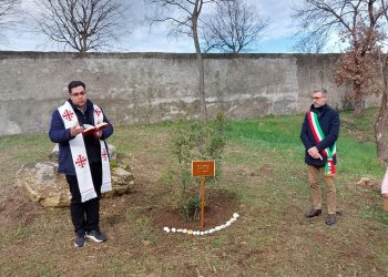 Ponti sul Mincio, piantumato un albero in onore di Gino Bartali
