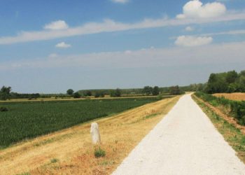 Canneto sull’Oglio, al via lavori urgenti sugli argini maestri del fiume Oglio a cura dell’Aipo Agenzia Interregionale per il fiume Po e in collaborazione con il Parco Regionale Oglio Sud