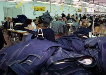 Scoperto colorante ecologico per tingere di blu il jeans