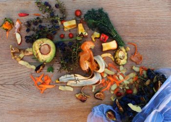 Un miliardo di pasti viene sprecato ogni giorno in tutto il mondo