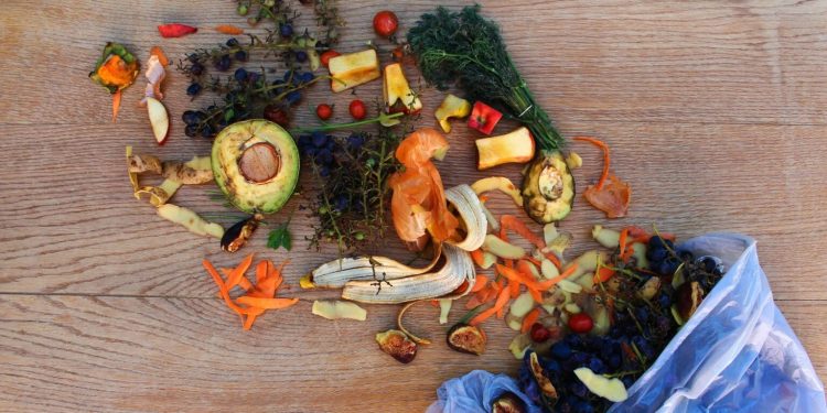 Un miliardo di pasti viene sprecato ogni giorno in tutto il mondo