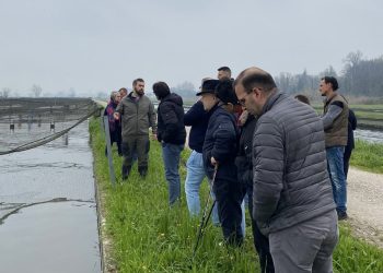 Terranostra di Mantova e Brescia in visita all’azienda di Goito che produce caviale
