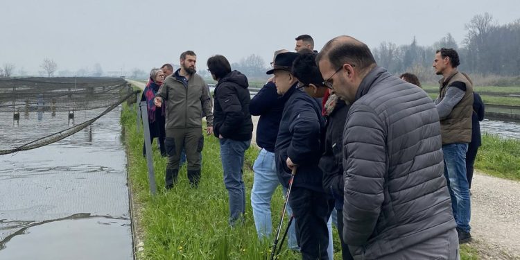 Terranostra di Mantova e Brescia in visita all’azienda di Goito che produce caviale