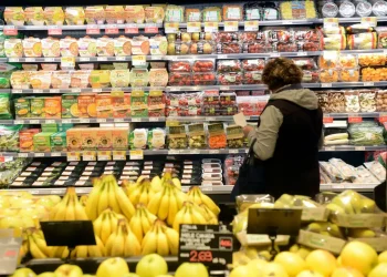 Indice prezzi agricoli Fao -6% in tre anni, +24% rincaro alimentari al dettaglio