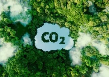Clima, l’Appennino centrale emette più CO2 di quanta riesca ad assorbirne