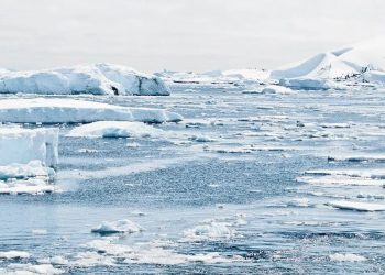 Lo scioglimento dei ghiacci favorisce l’invasione delle specie aliene