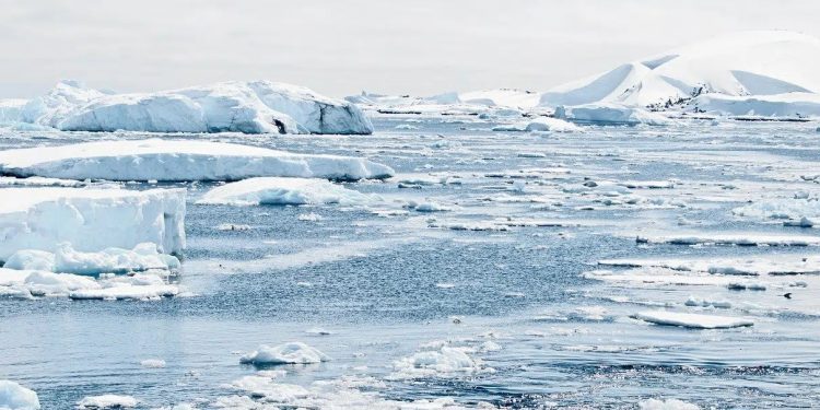 Lo scioglimento dei ghiacci favorisce l’invasione delle specie aliene