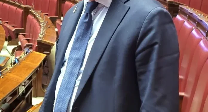 Castiglione delle Stiviere, al via la posa dei nuovi arredi