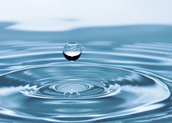 Per rimuovere il piombo dall’acqua basta…una birra