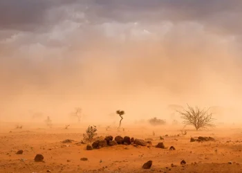 Clima, 153mila morti per ondate di calore tra 1999 e 2019