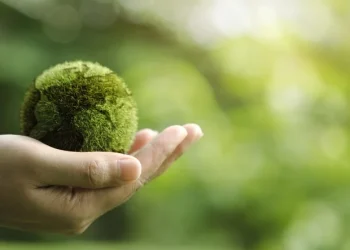 Cosa resta del Green Deal nei programmi elettorali dei partiti europei