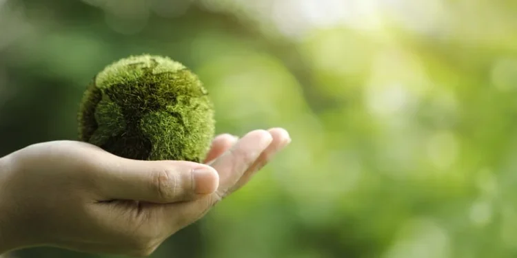 Cosa resta del Green Deal nei programmi elettorali dei partiti europei