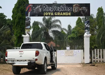 In Honduras malnutrizione e abbandono minacciano gli animali di uno zoo