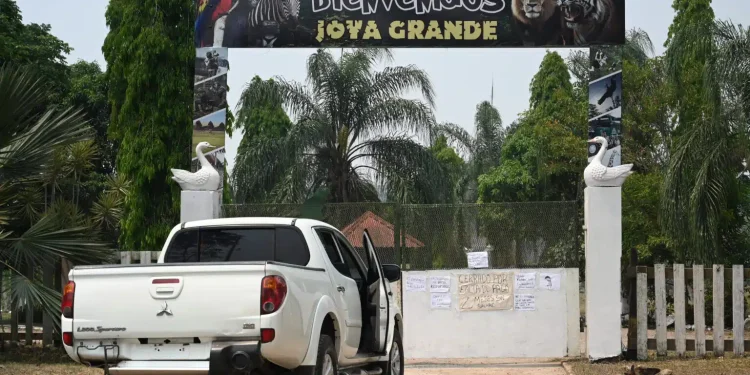 In Honduras malnutrizione e abbandono minacciano gli animali di uno zoo