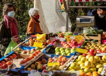 La dieta sostenibile riduce del 30% i rischi di morte prematura